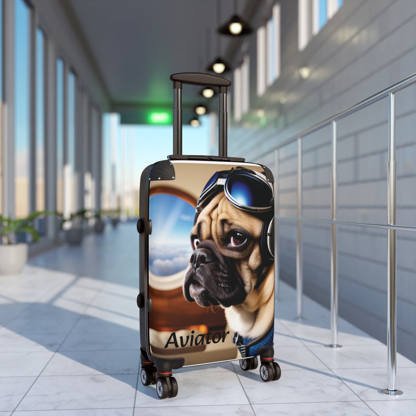 Suitcase; Aviator