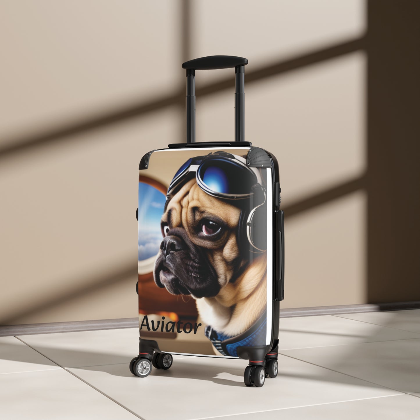 Suitcase; Aviator